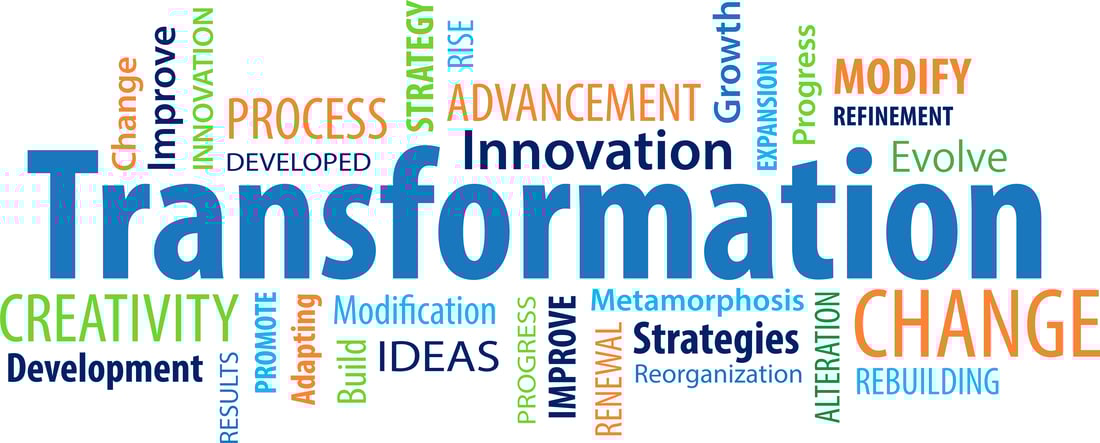 transformation NMSDC brand colors